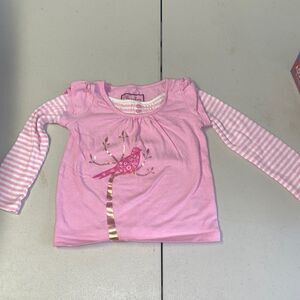Cherokee bird shirt